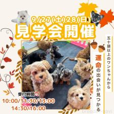 鈴木理菜ブリーダー